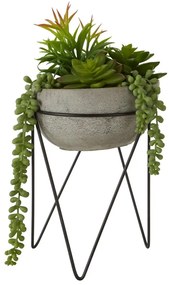 Suculentă artificială (înălțime 36 cm) Fiori – Premier Housewares