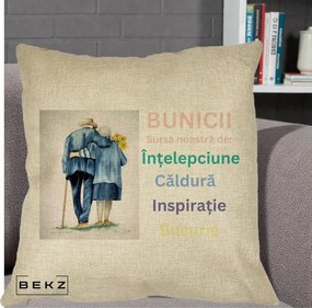 Cadou pentru Bunici - Perna Personalizata Bunicii Sursa Intelepciune Caldura Acuarela, 40x40 cm, Crem, Husa Detasabila, Perna Inclusa, BEKZ®
