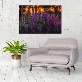 Tablou - Flori de lupin (90x60 cm)