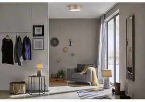 Plafonieră Paulmann 79687 3xE27/20W NEORDIC LISKA 230V nuc