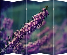 Paravan - Lavanda (210x170 cm)