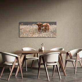 Tablou - Vacă scoțiană (120x50 cm)