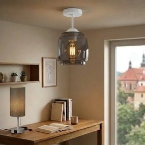 BRILAGI - LED Lustra aplicată R GLASS 1xE27/60W/230V Ø 26 cm alb/gri fumuriu