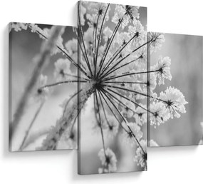 Tablou - Floare în timpul iernii (90x60 cm)