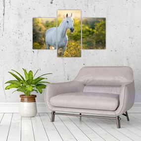 Tablou - Cal alb în poină (90x60 cm)