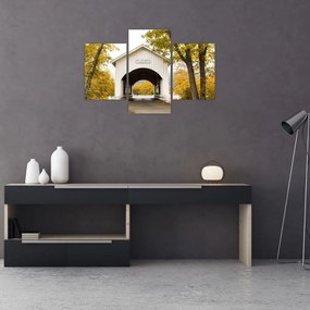 Tablou cu podul în Oregon (90x60 cm)