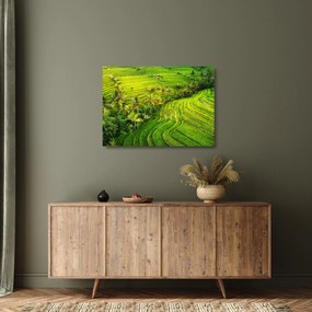 Tablou pe sticlă - Terase de orez (70x50 cm)