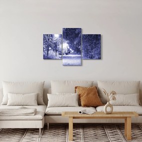 Tablou - Noaptea magică de iarnă (90x60 cm)