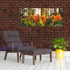 Tablou - florile lalelelor (120x50 cm)