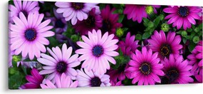 Tablou - Flori (120x50 cm)