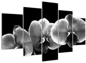 Tablou floare de orhidee (150x105 cm)