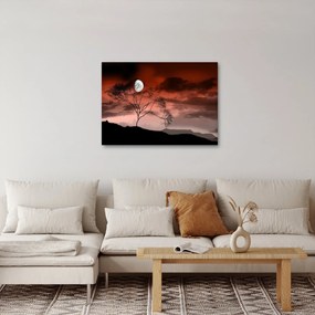 Tablou - Luna luminează noaptea (70x50 cm)