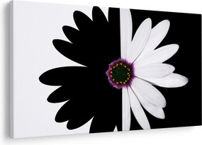 Tablou - Floare, alb- negru (90x60 cm)
