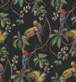 Fototapet, Parrots, Midnight, Rebel Walls