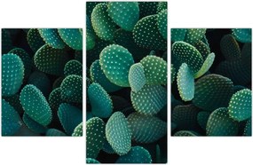 Tablou - Opuntia (90x60 cm)