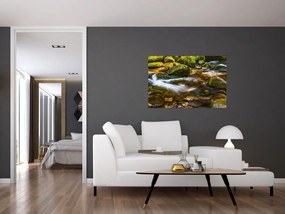 Tablou cu părâu (90x60 cm)