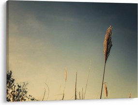 Tablou - Iarba (70x50 cm)