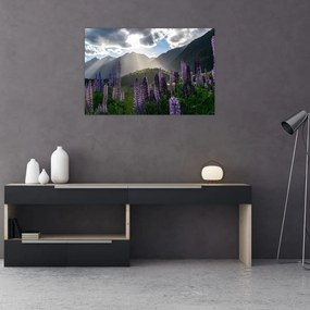 Tablou - scenariu cu flori de Lupin (90x60 cm)