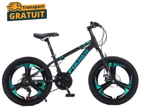 Bicicleta Fulger by Caraiman, roti 20 inch, cadru otel, frane pe disc, negru cu verde, BC82