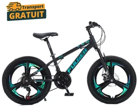 Bicicleta Fulger by Caraiman, roti 20 inch, cadru otel, frane pe disc, negru cu verde, BC82