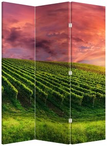Paravan - Vie cu cerul color (126x170 cm)