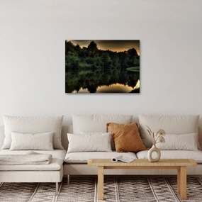 Tablou cu lac în pădure (70x50 cm)