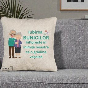 Cadou pentru Bunici - Perna Personalizata Bunicii Iubirea Infloreste Cuplu Senior Teal, 40x40 cm, Bej Canapea, Husa Detasabila, Perna Inclusa, BEKZ®