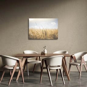 Tablou cu grâne (70x50 cm)