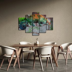 Tablou - Cameleon (150x105 cm)