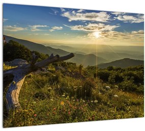 Tablou - Priveliștea (70x50 cm)