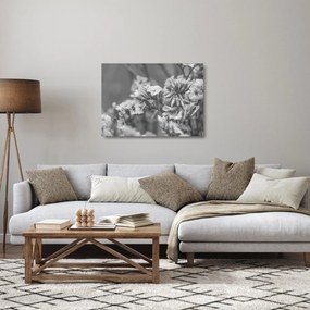 Tablou pe sticlă - Flori uscate (70x50 cm)