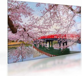 Tablou pe sticlă - Hirosaki, Japonia (70x50 cm)