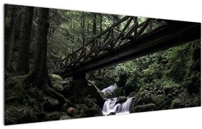 Tablou din pădurea neagră (120x50 cm)