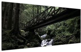 Tablou din pădurea neagră (120x50 cm)