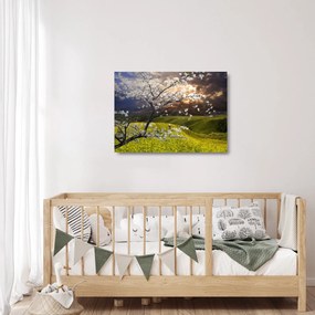 Tablou pe sticlă - Peisaj cu pomul înflorit (70x50 cm)
