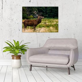 Tablou pe sticlă cu cerb (70x50 cm)