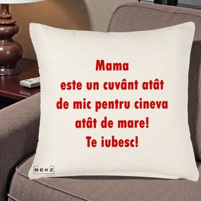 Cadou pentru Mama - Perna Personalizata Mama Cuvant Mic, 40x40 cm, Crem Reliefat, Husa Detasabila, Perna Inclusa, BEKZ®