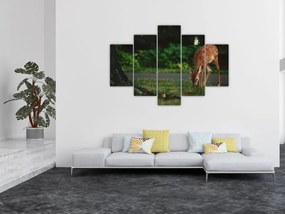 Tablou cu pui de cerb (150x105 cm)