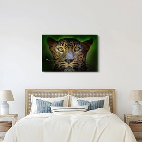Tablou - Portretul leoparduslui, Sri Lanka (90x60 cm)