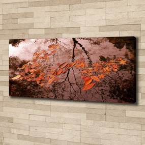 Tablou canvas Frunze de apa