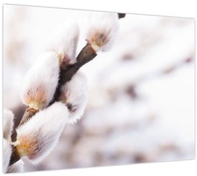 Tablou - Ramură (70x50 cm)