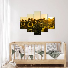 Tablou cu lan de floarea soarelui (150x105 cm)