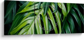 Tablou - Frunze tropicale (cu ceas) (90x30 cm)