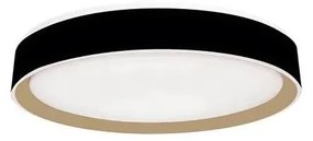 Plafonieră LED dimabilă cu control vocal OPAL LED/48W/230V + telecomandă