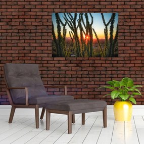 Tablou - Plante (90x60 cm)