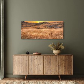 Tablou cu câmp (120x50 cm)