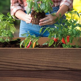 Cutie decorativă de grădină din plastic, cu raft inferior, 110 l, lemn de nuc