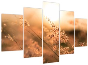 Tablou - Iarbă la soare (150x105 cm)