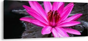 Tablou - floarea roz (120x50 cm)