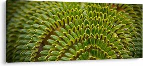 Tablou - Fern (120x50 cm)